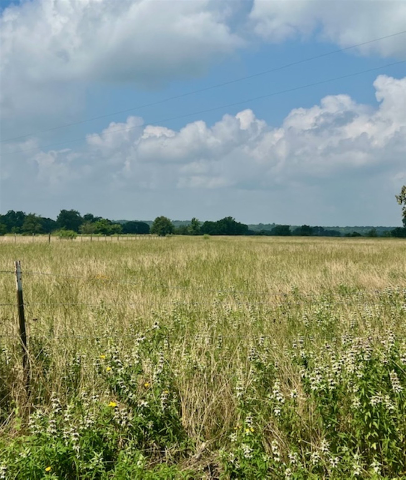 38 Acres Shaws Bend Rd Property Photo 6