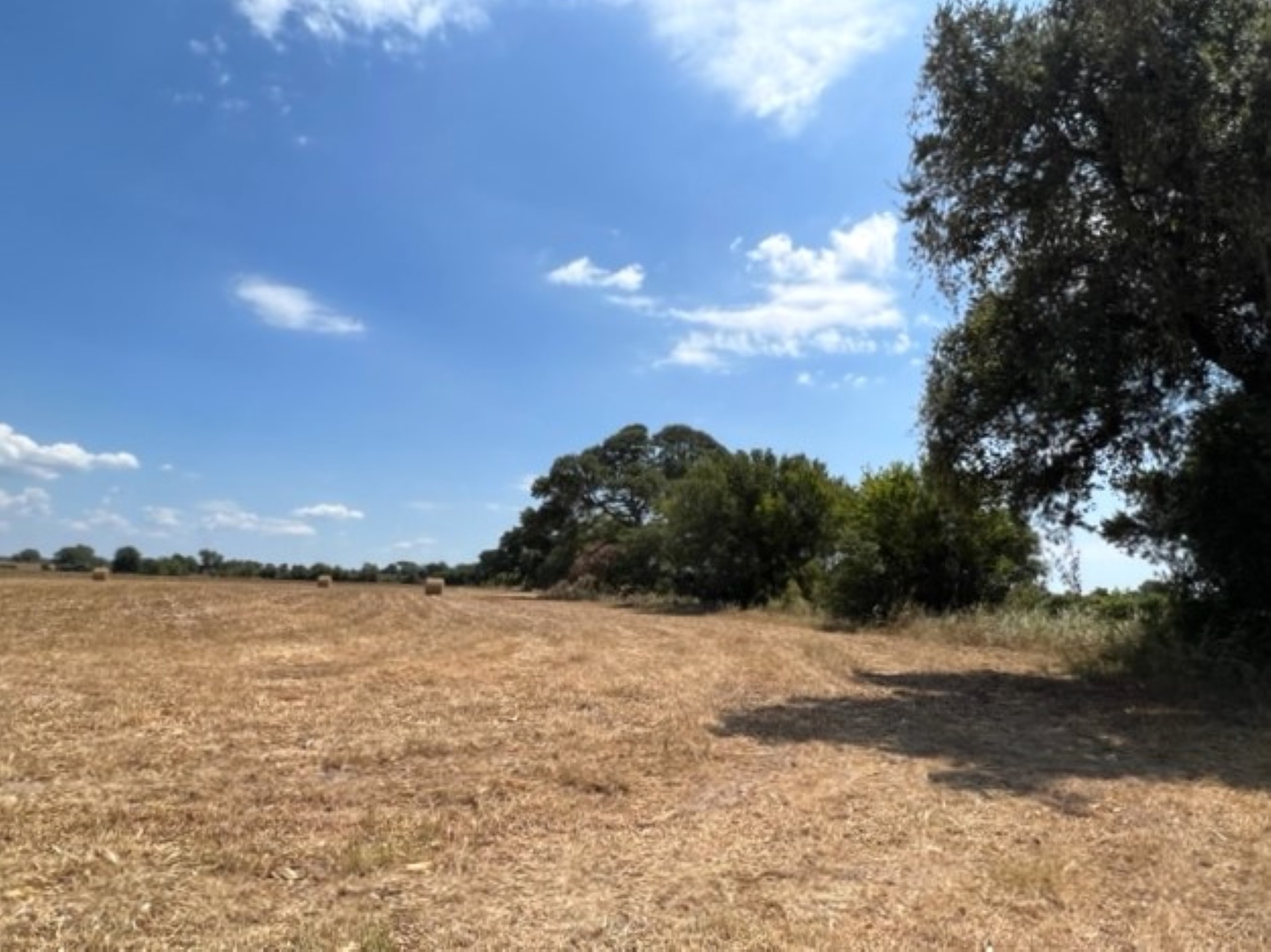 38 Acres Shaws Bend Rd Property Photo 8