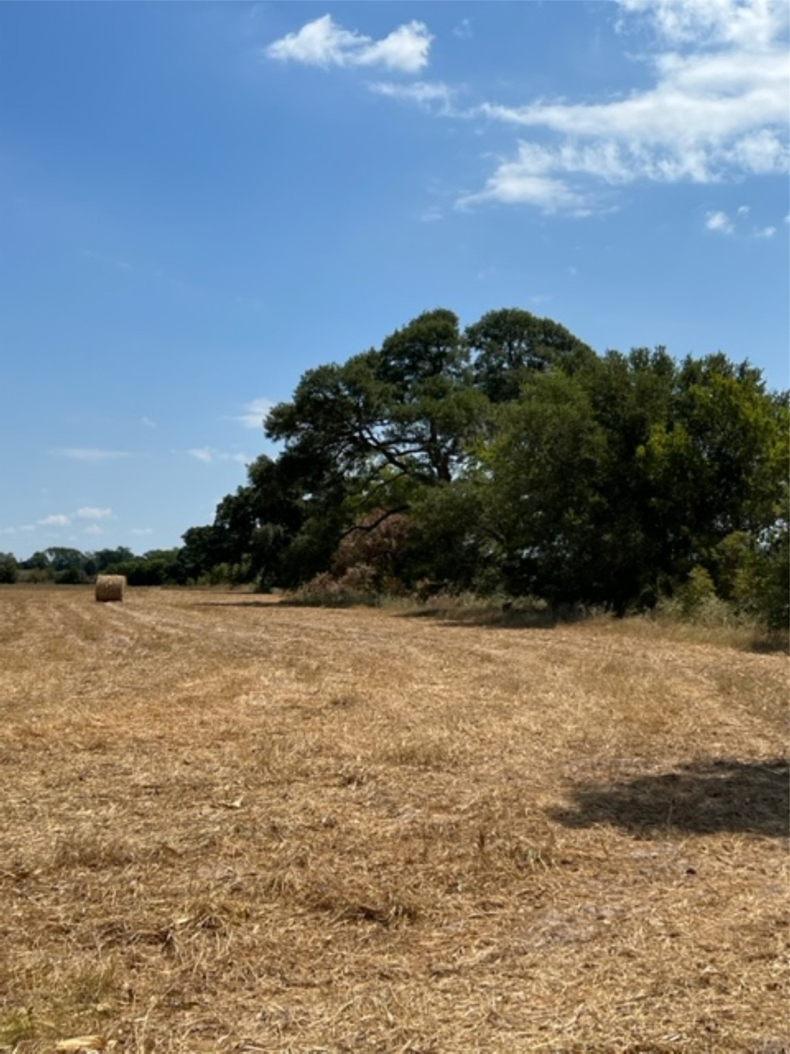 38 Acres Shaws Bend Rd Property Photo 10