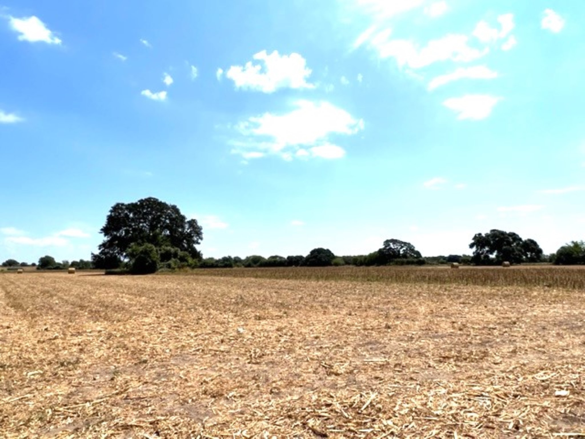 38 Acres Shaws Bend Rd Property Photo 11