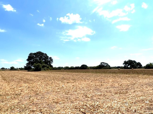 38 Acres Shaws Bend Rd Property Photo 12