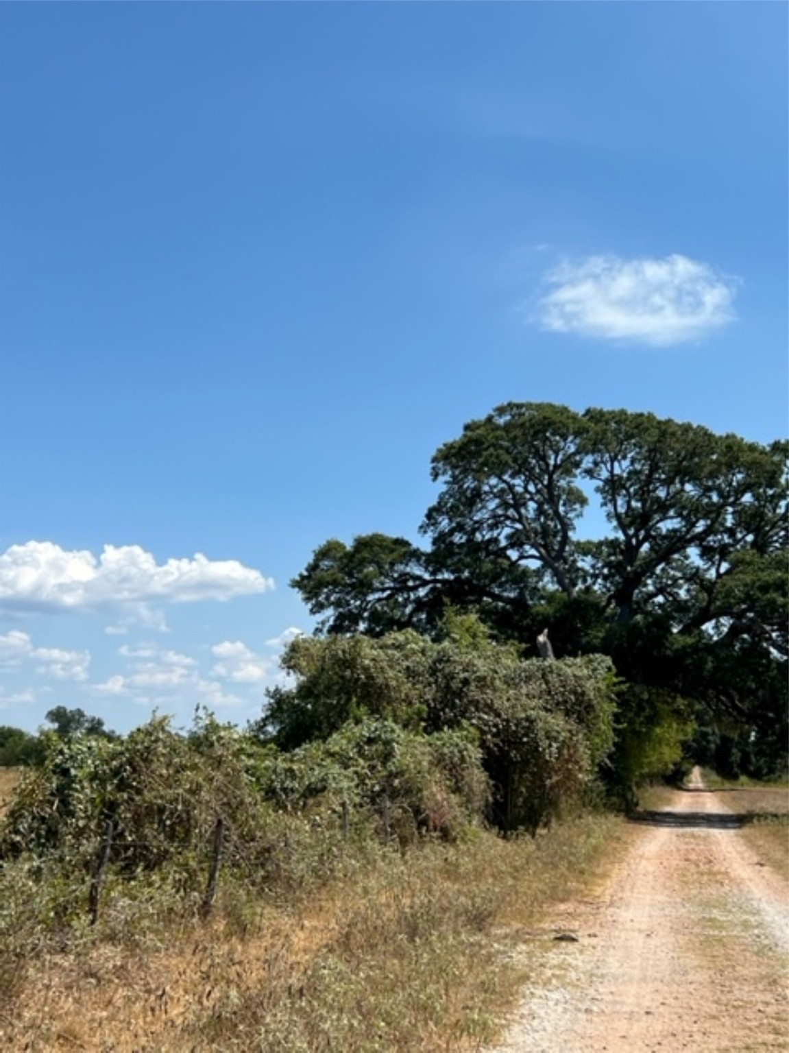 38 Acres Shaws Bend Rd Property Photo 14