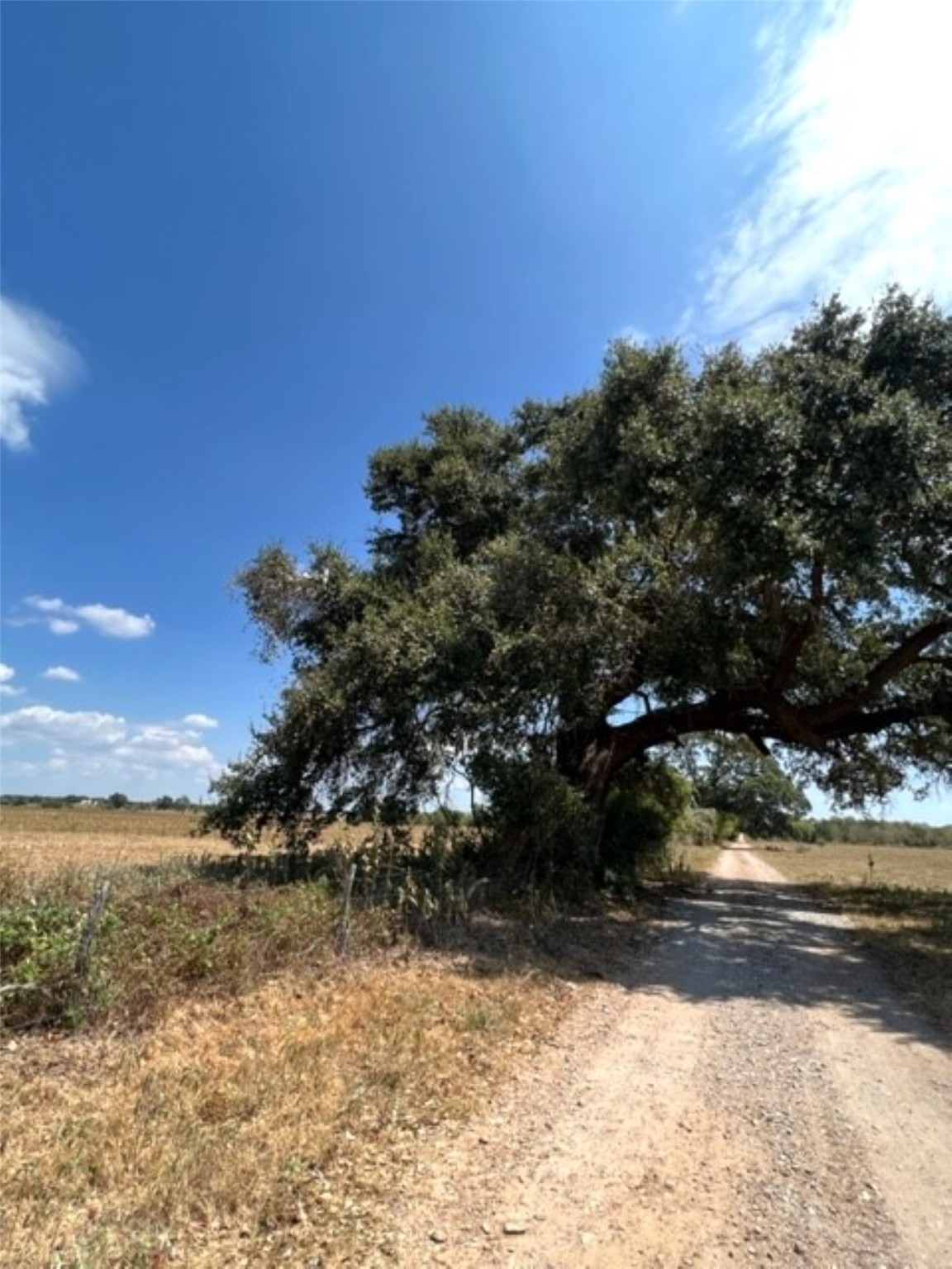 38 Acres Shaws Bend Rd Property Photo 15