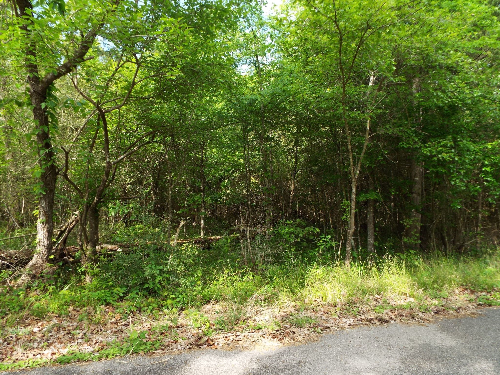 Lot 34 Dogwood Road Property Photo 2