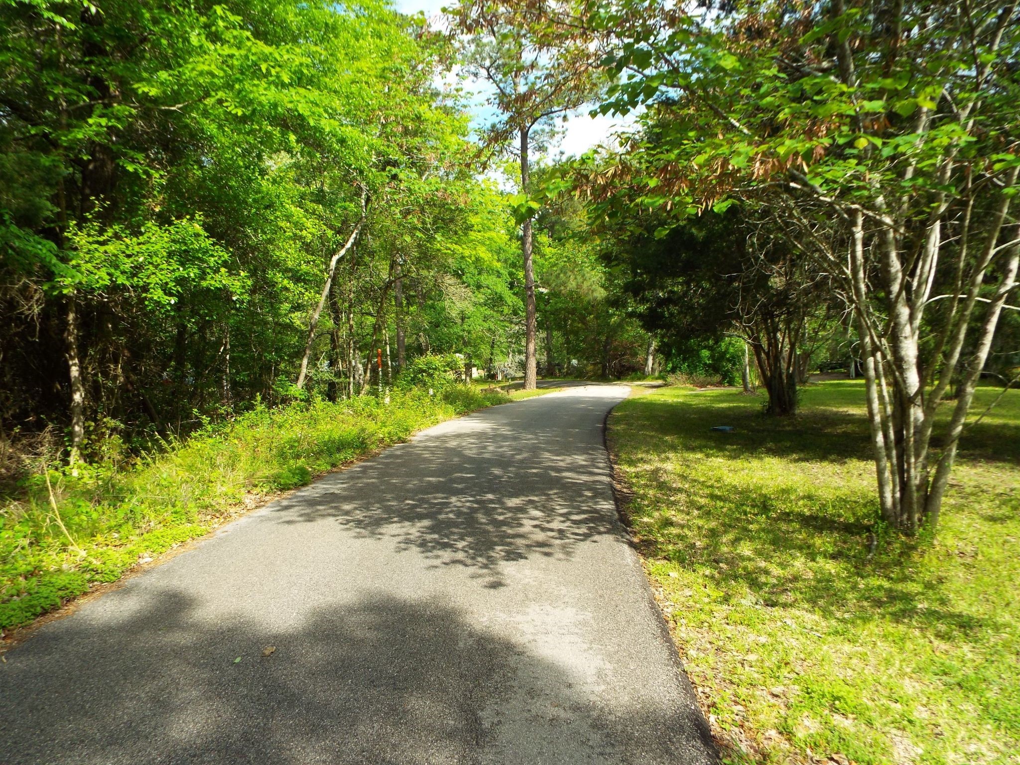 Lot 34 Dogwood Road Property Photo 3