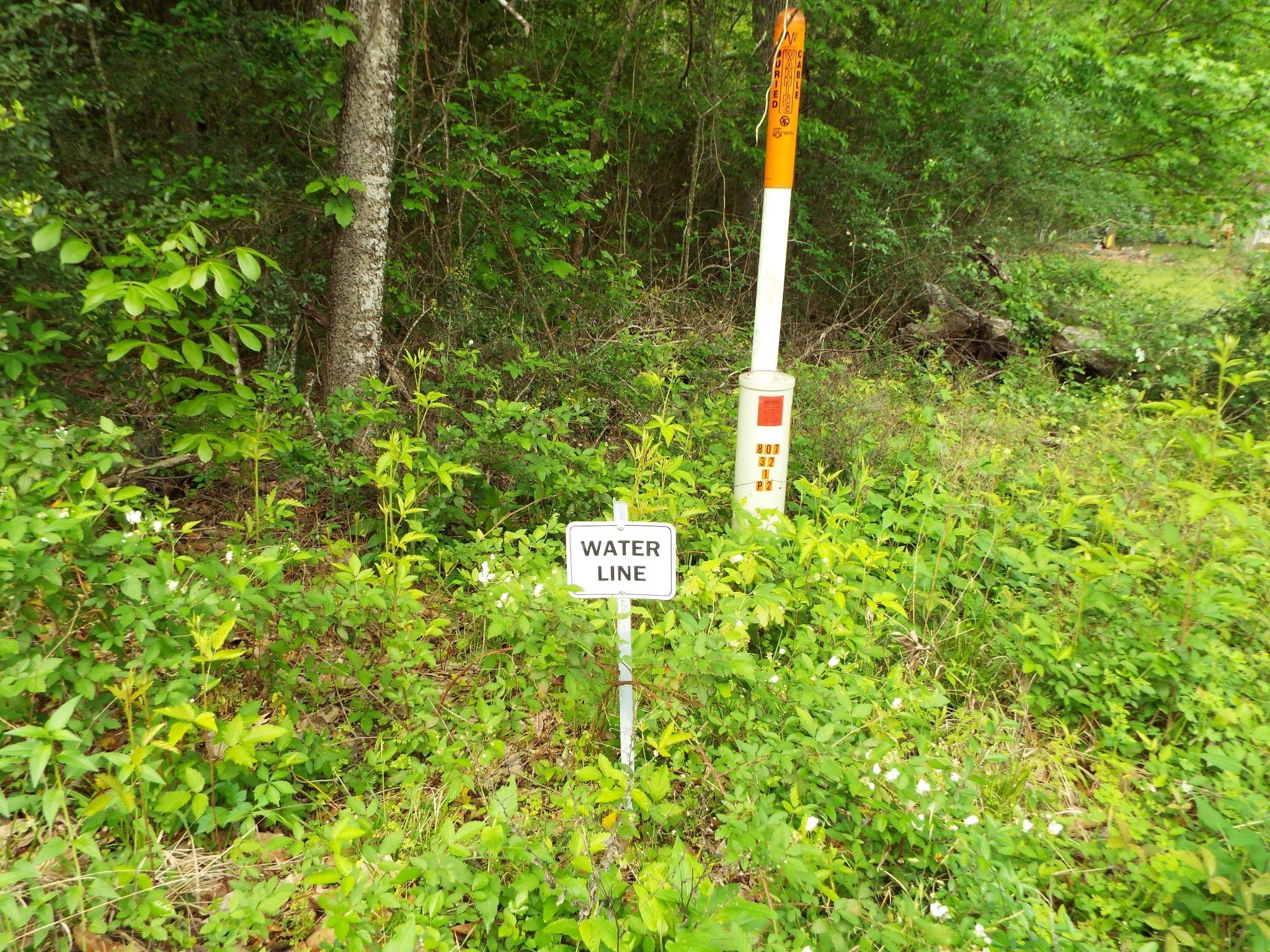 Lot 34 Dogwood Road Property Photo 4