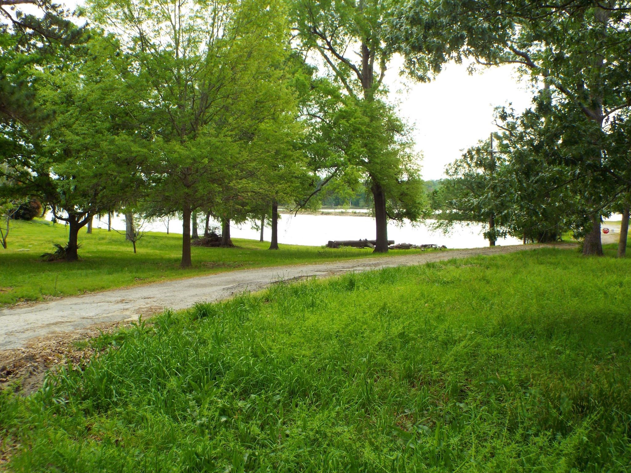 Lot 34 Dogwood Road Property Photo 7