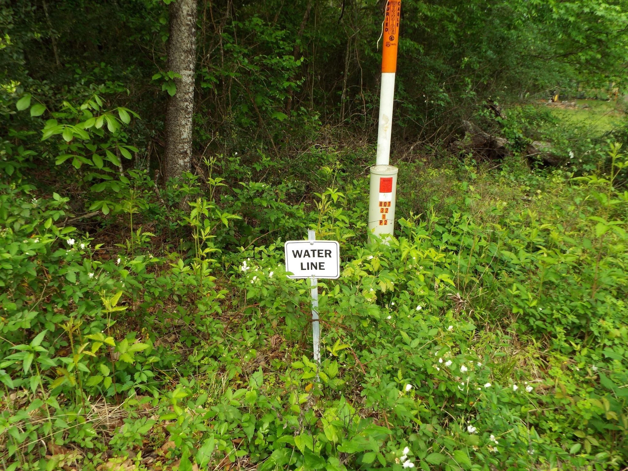 Lot 34 Dogwood Road Property Photo 16