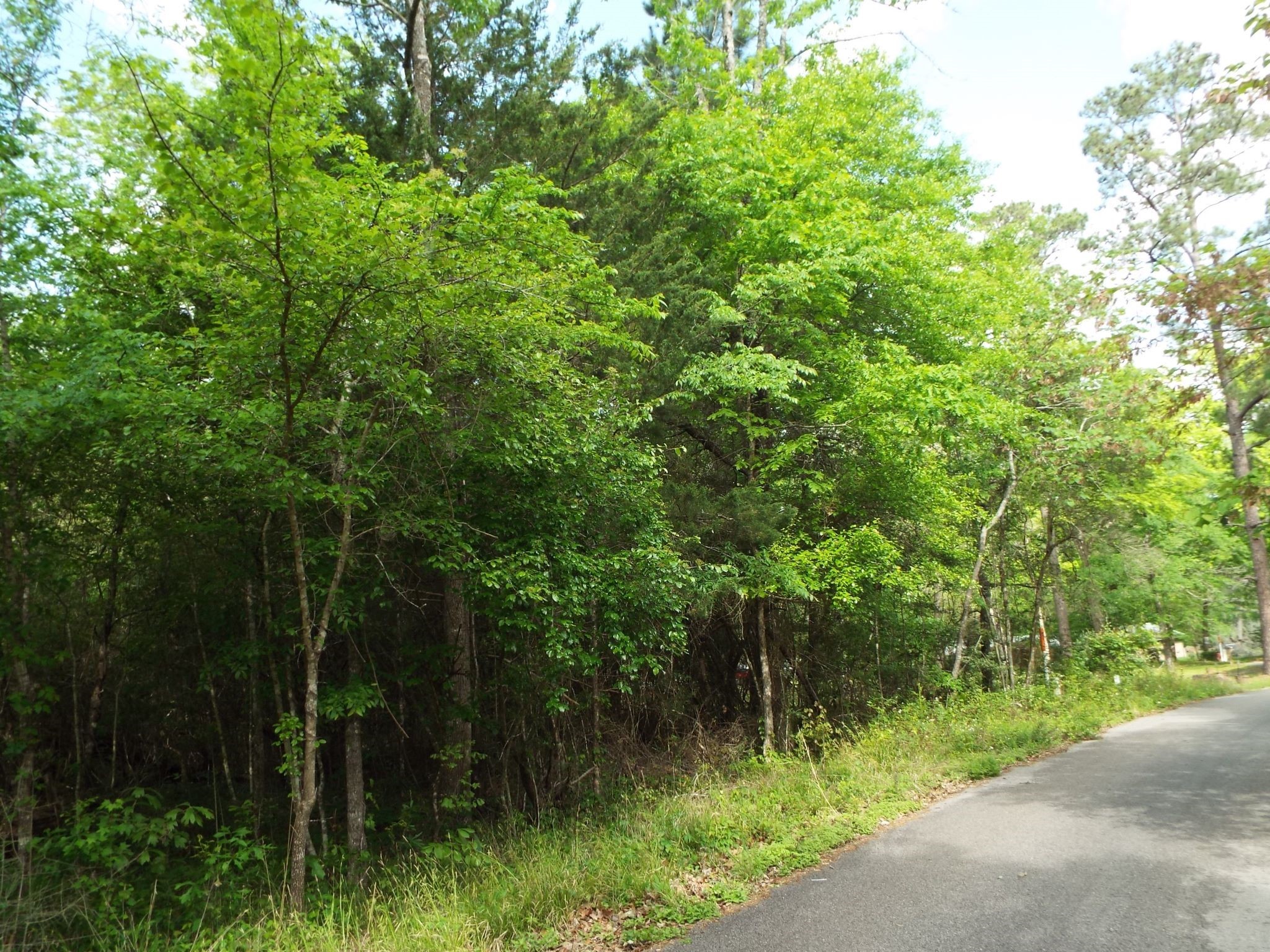 Lot 34 Dogwood Road Property Photo 21