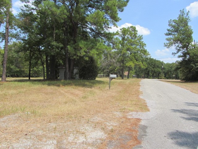 31,33, 35 Park Lane Land Property Photo 1