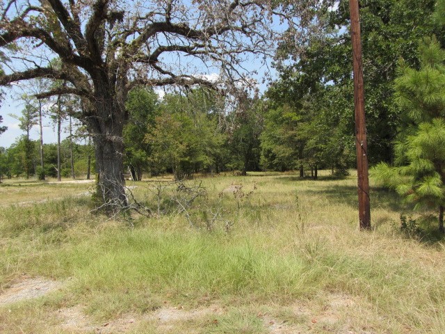 31,33, 35 Park Lane Land Property Photo 2