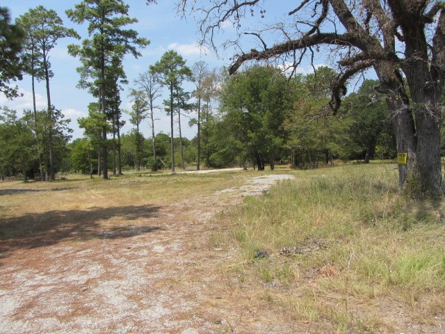 31,33, 35 Park Lane Land Property Photo 3