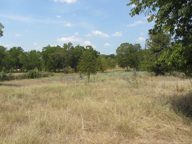 31,33, 35 Park Lane Land Property Photo 11