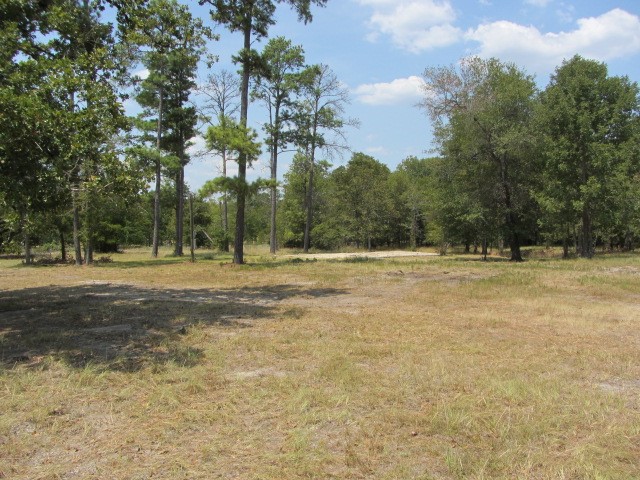 31,33, 35 Park Lane Land Property Photo 17