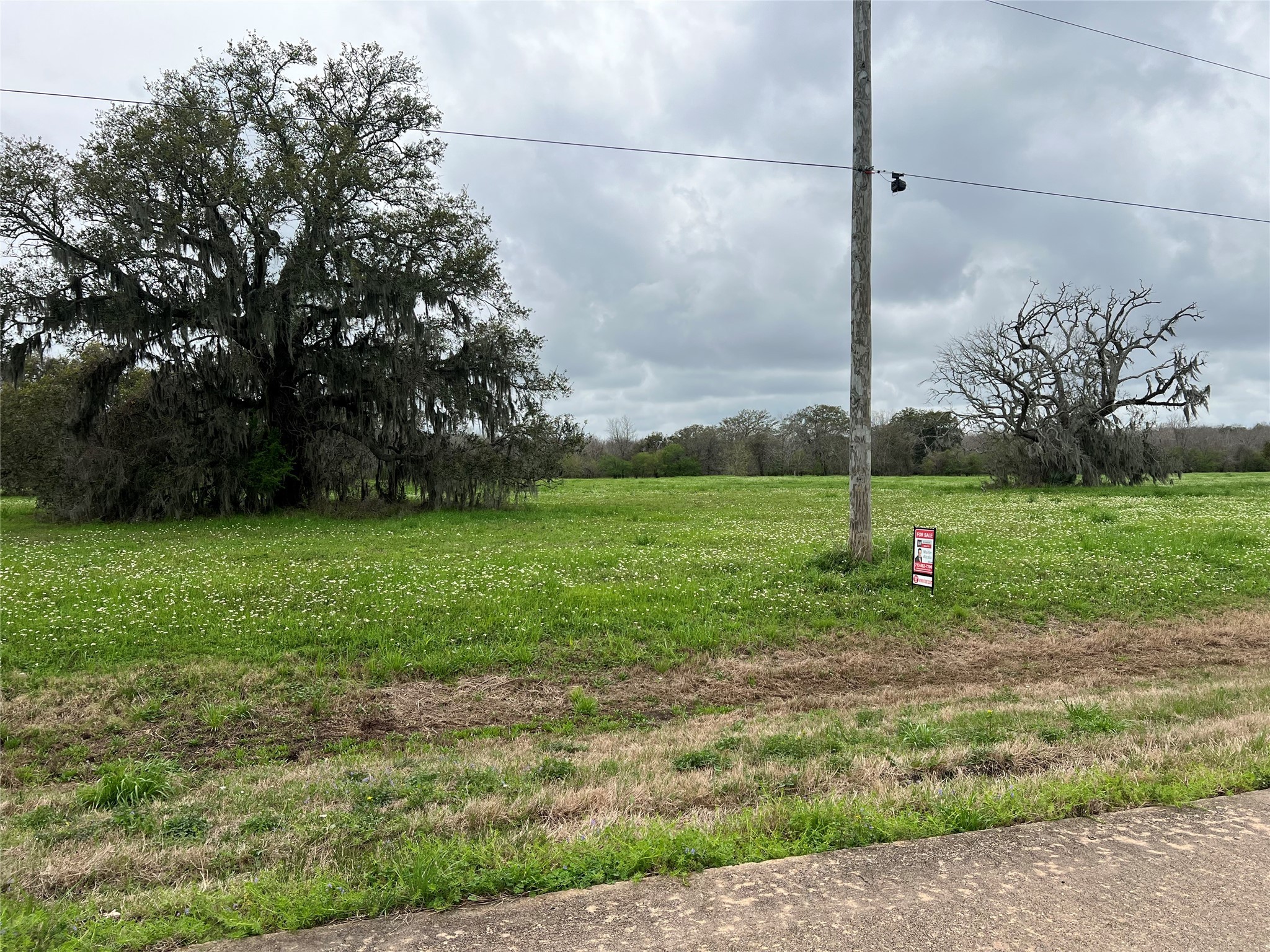 490 Pony Trail Property Photo 4