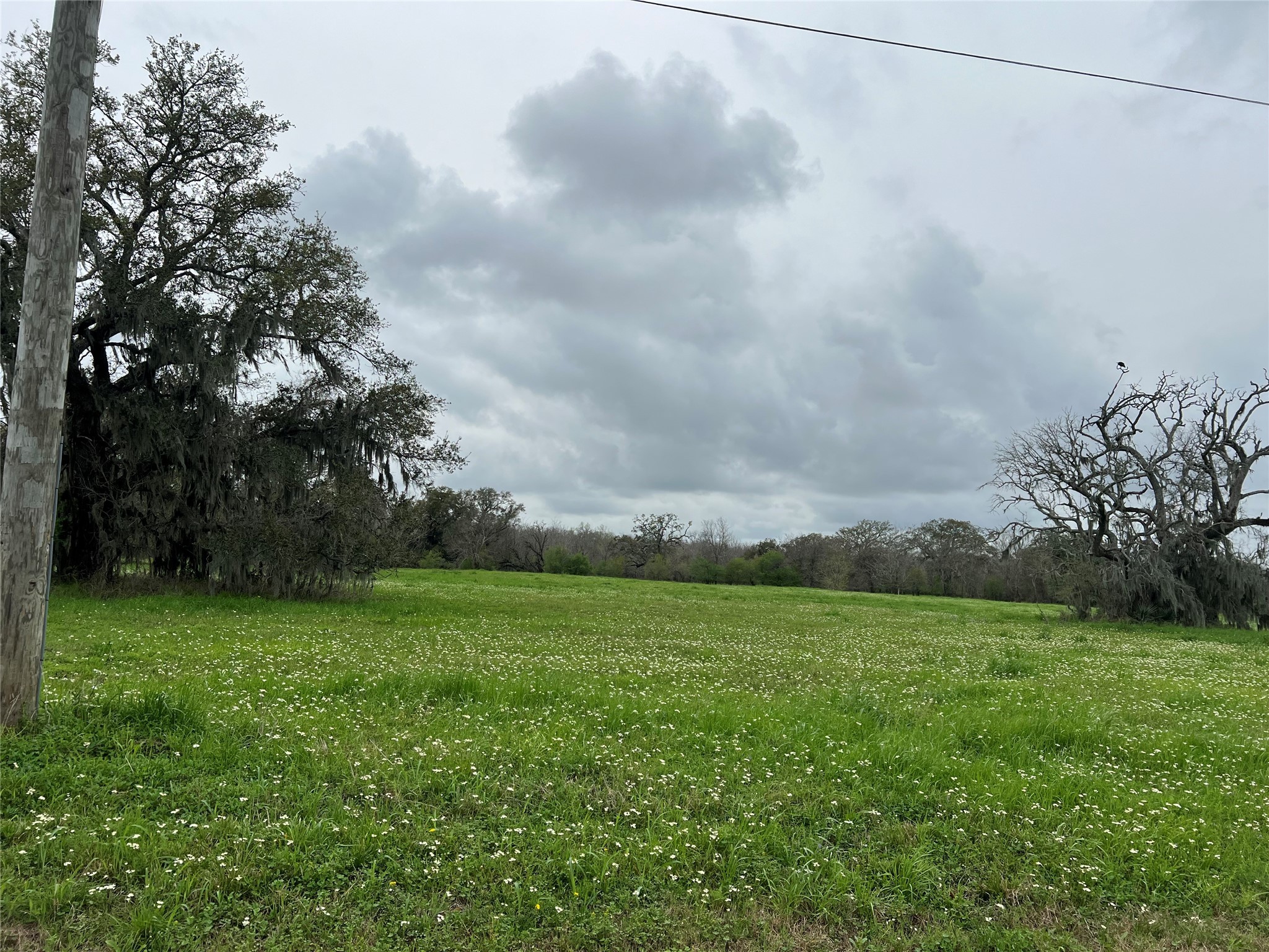 490 Pony Trail Property Photo 5