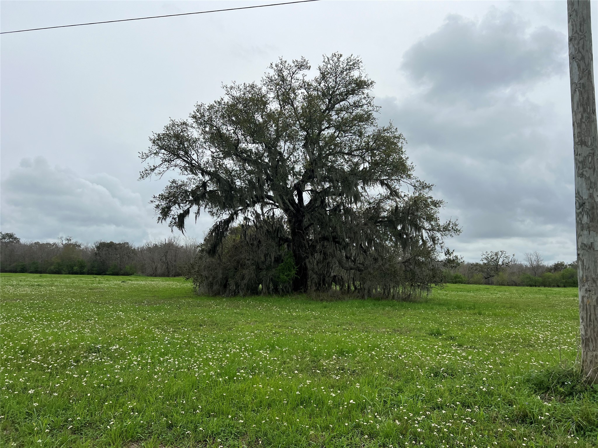 490 Pony Trail Property Photo 6