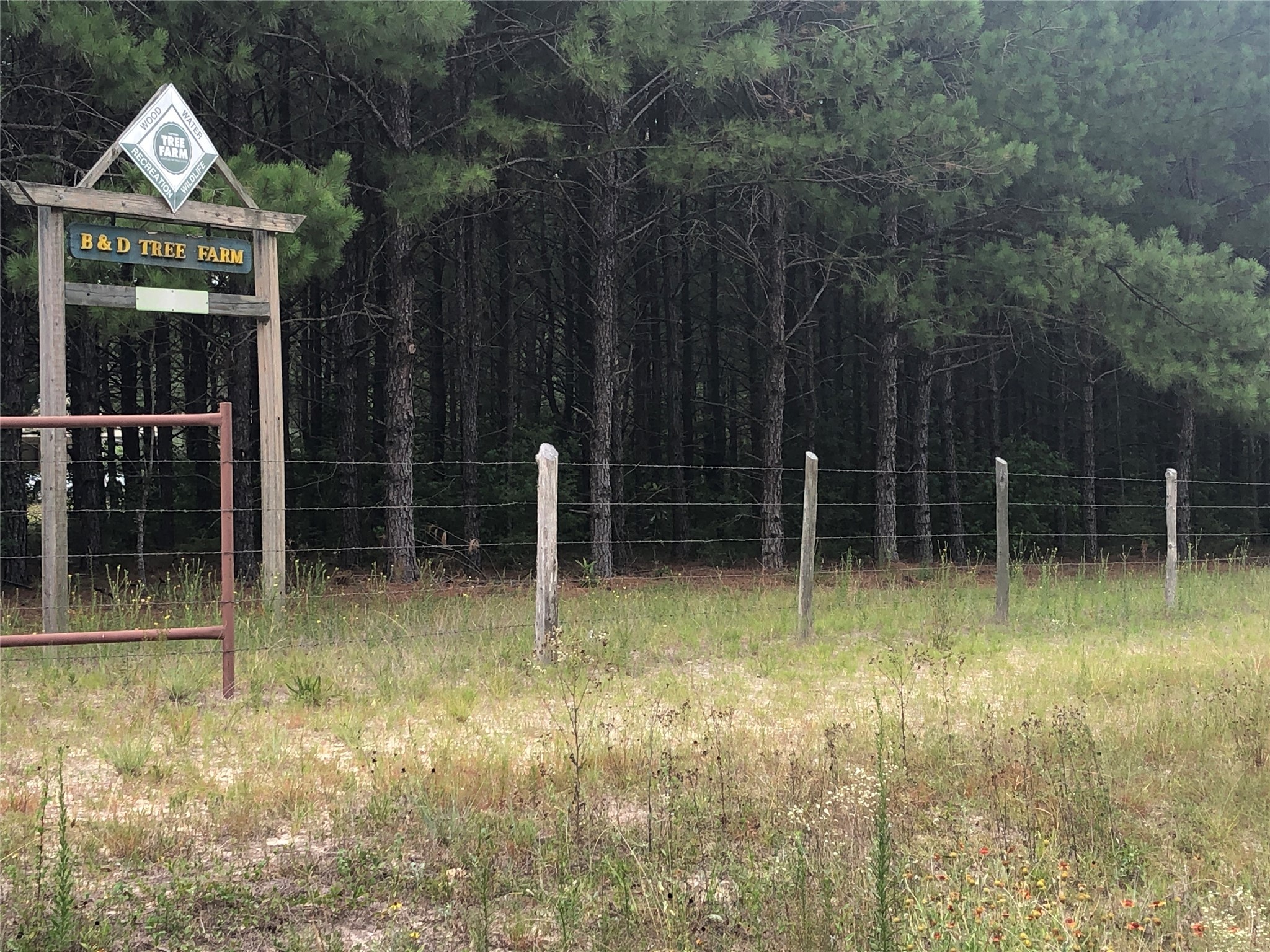 13136 Fm 943 Property Photo 1
