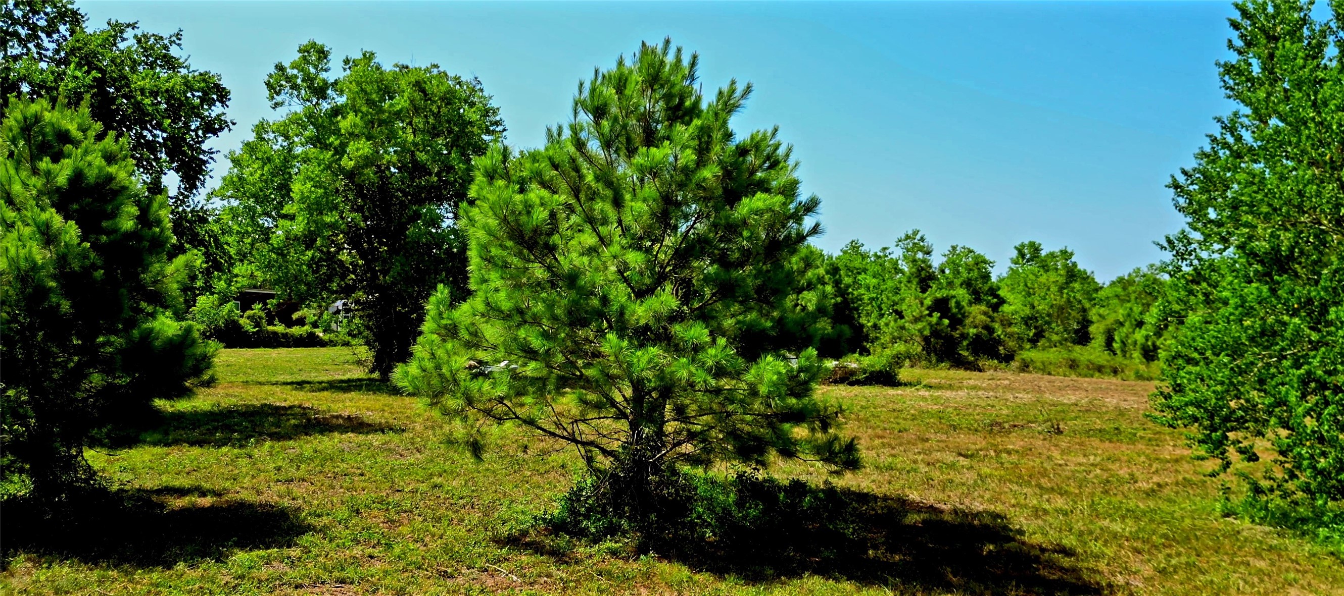 0 Fm 1960 Road E Property Photo 3