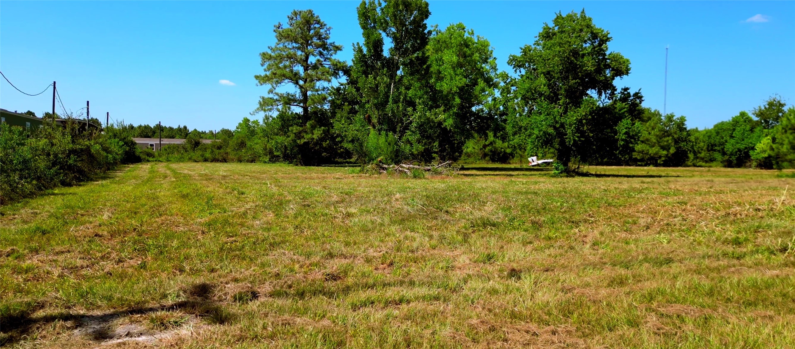 0 Fm 1960 Road E Property Photo 9