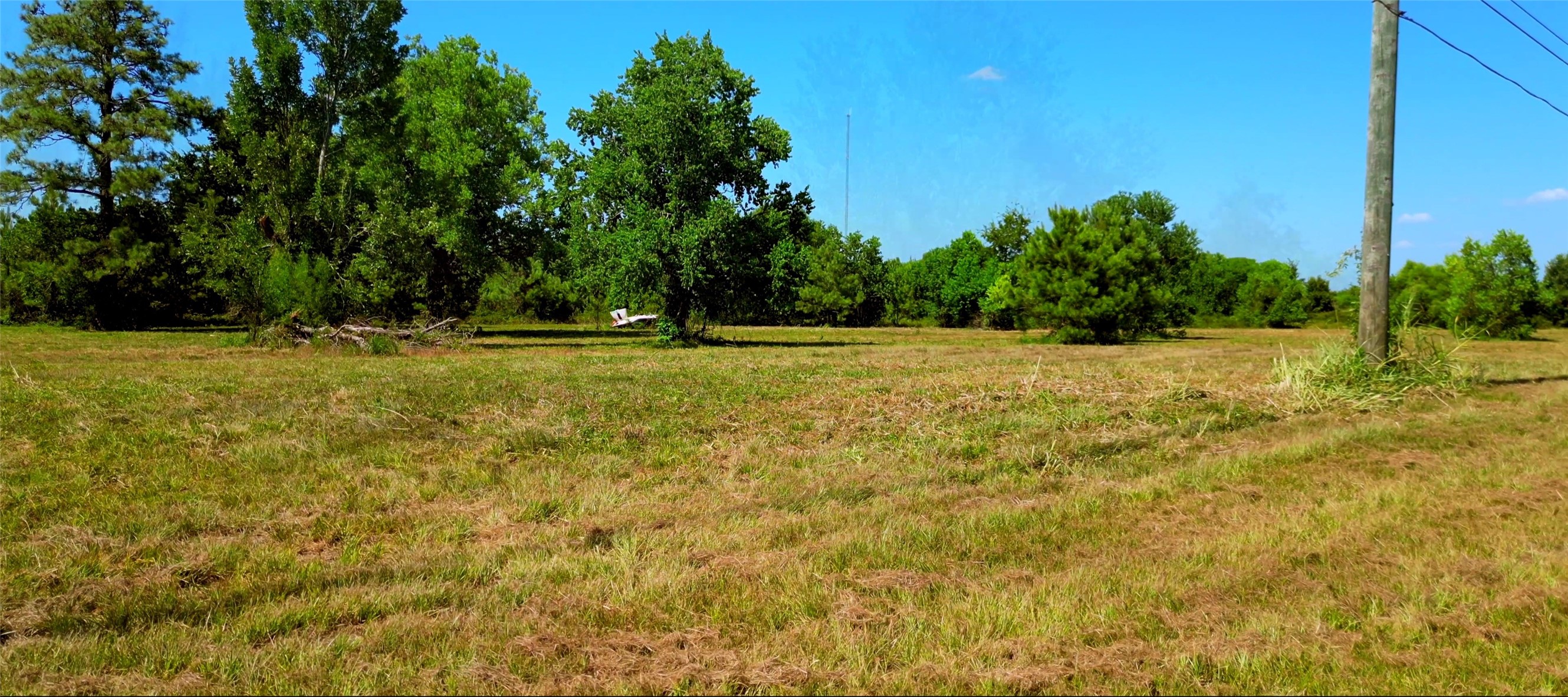 0 Fm 1960 Road E Property Photo 16