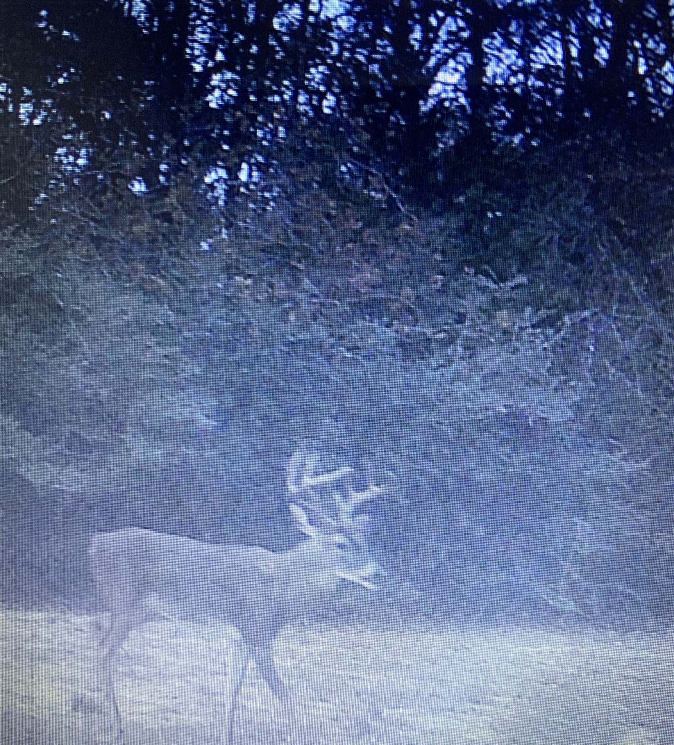 38.28 Ac Fm 937 Off Property Photo 3