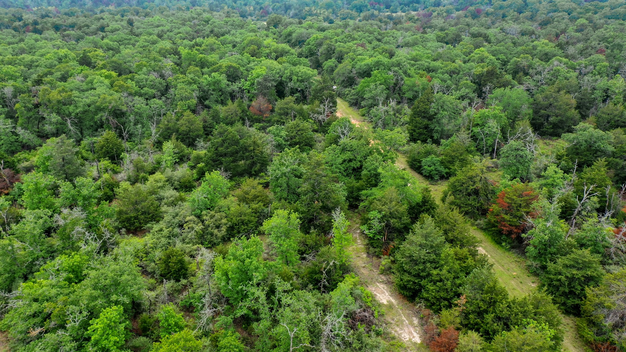 38.28 Ac Fm 937 Off Property Photo 18
