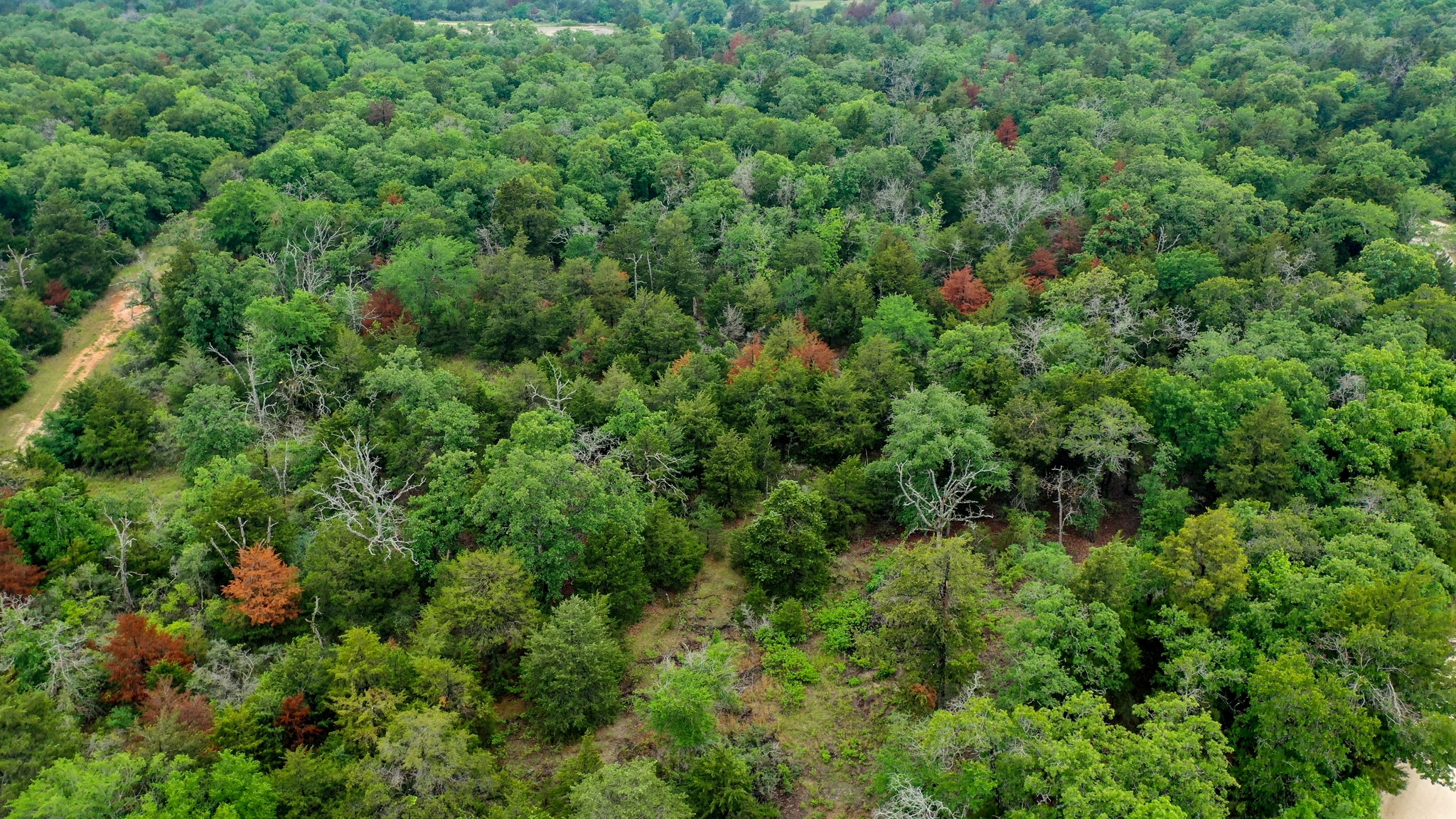 38.28 Ac Fm 937 Off Property Photo 19