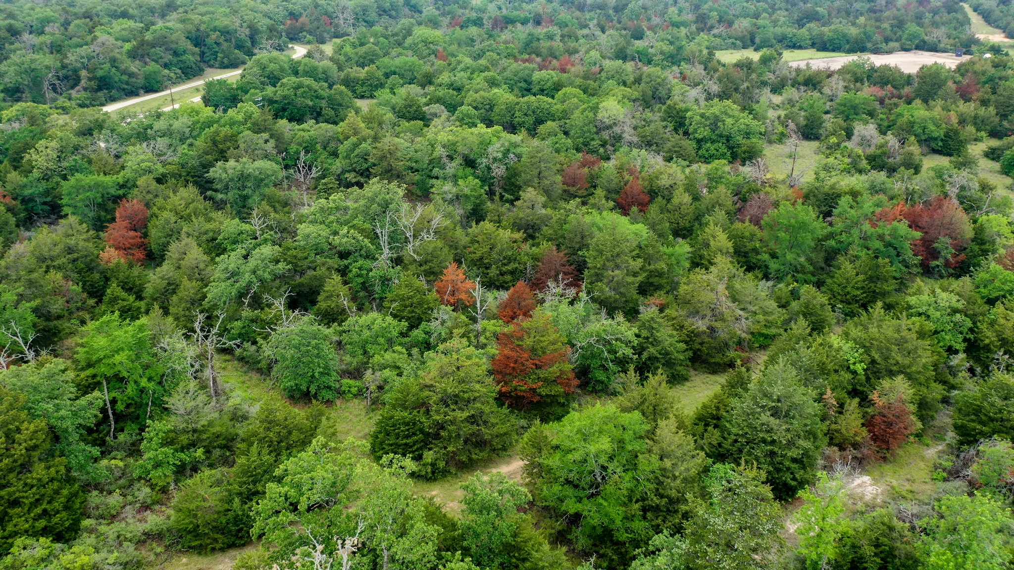 38.28 Ac Fm 937 Off Property Photo 20