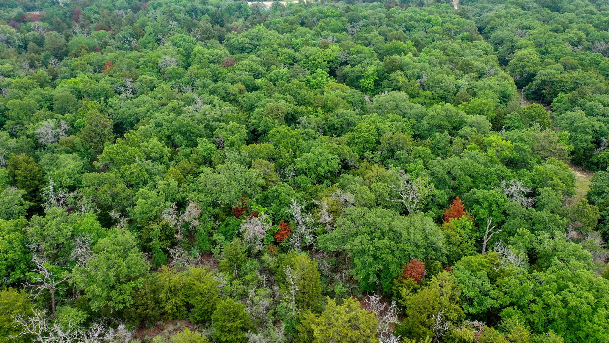 38.28 Ac Fm 937 Off Property Photo 21