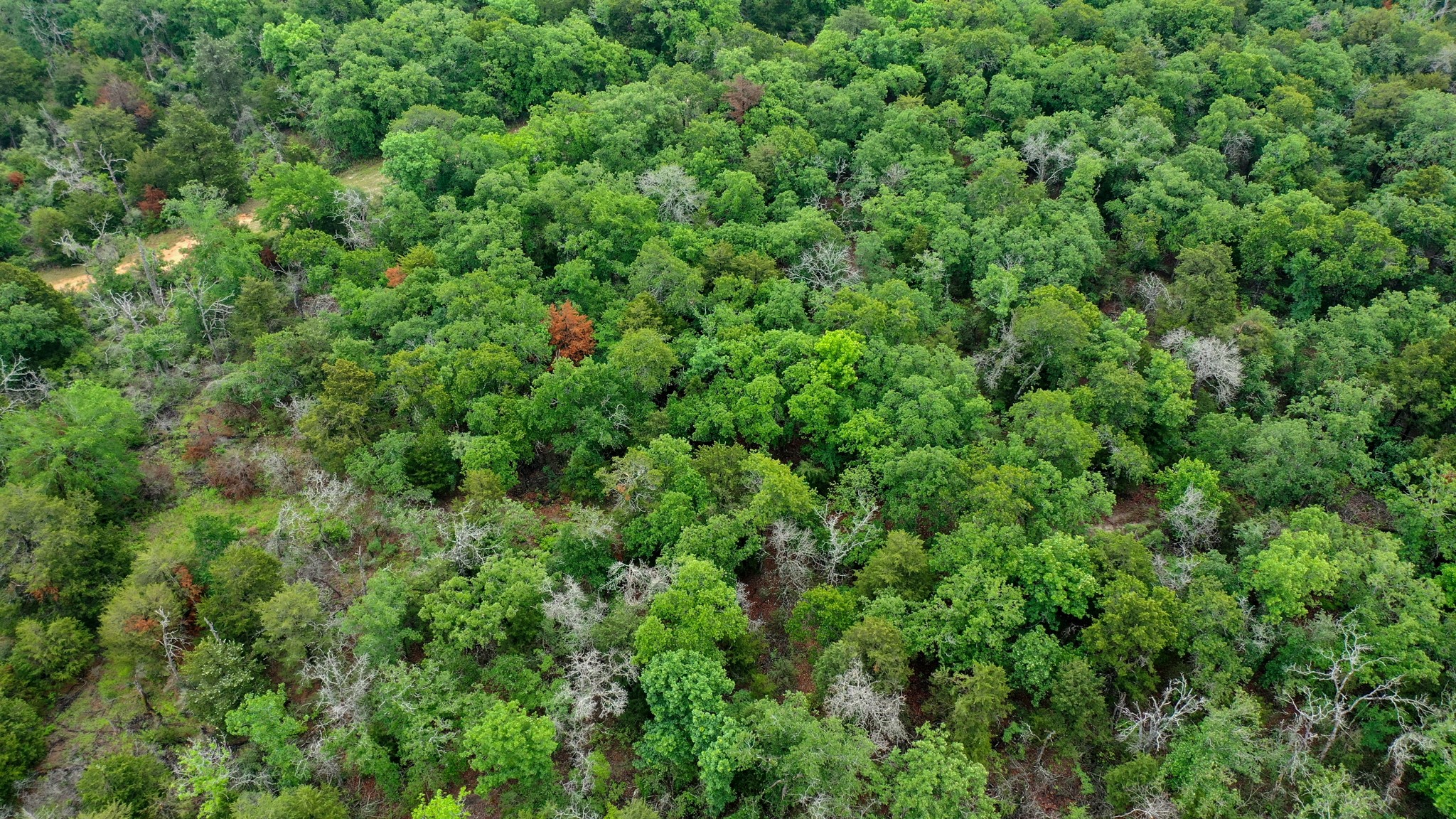 38.28 Ac Fm 937 Off Property Photo 23