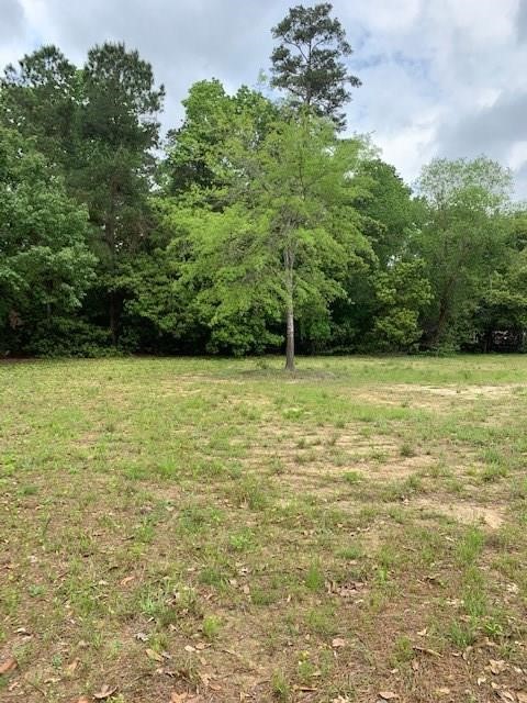 1203 Ashford Way Property Photo 1
