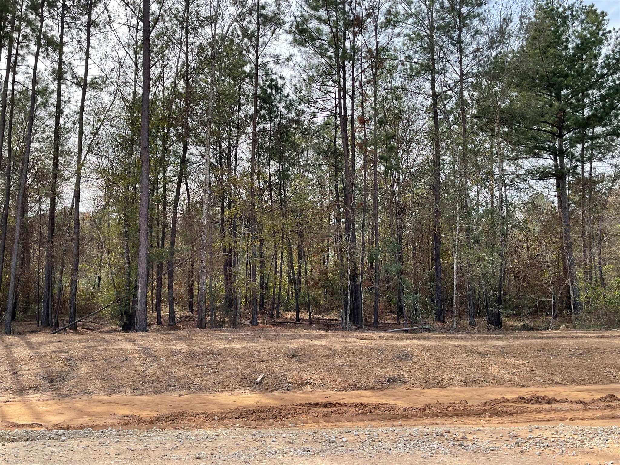 11640 Grand North Road Property Photo 8