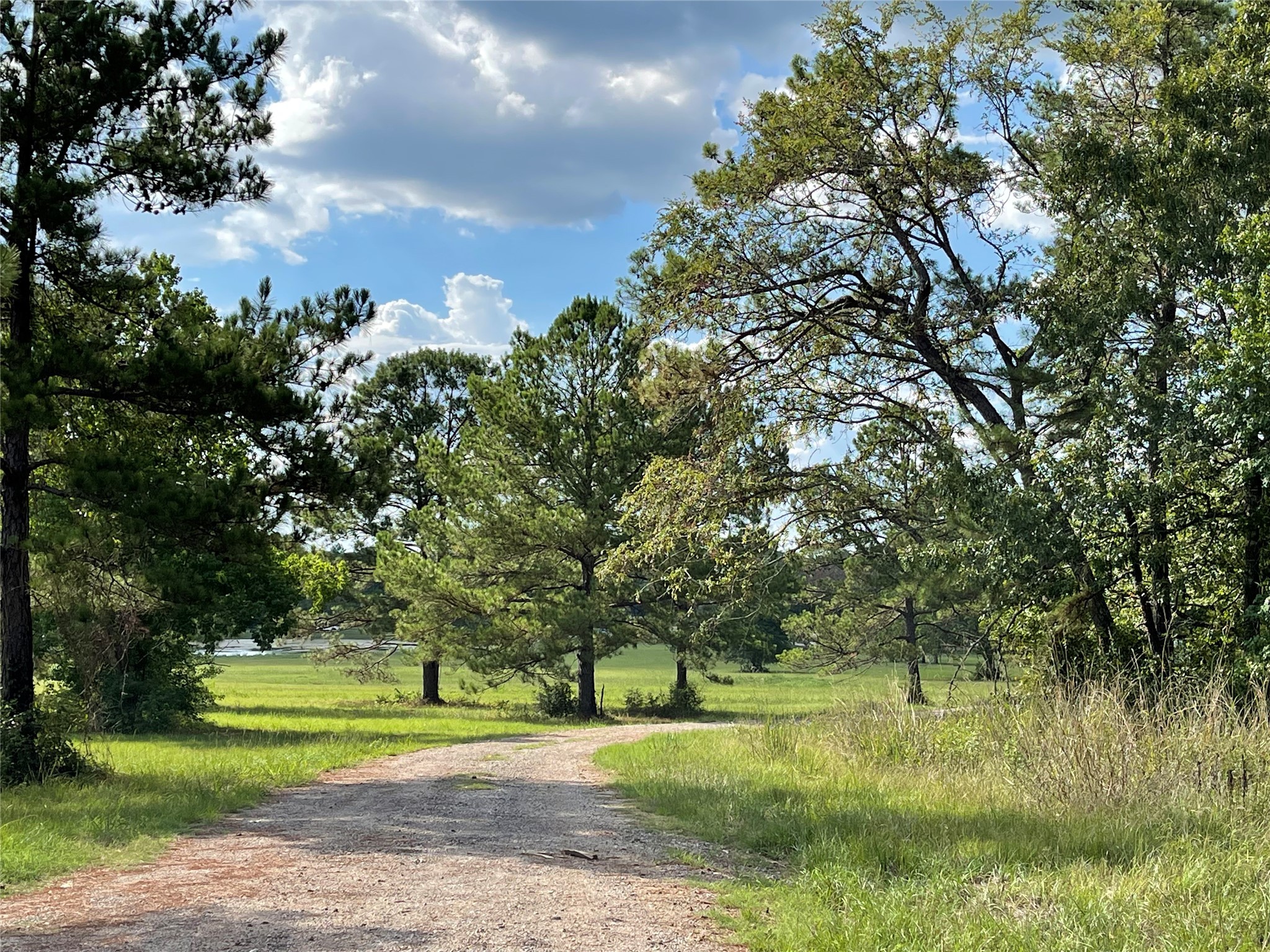 11640 Grand North Road Property Photo 17