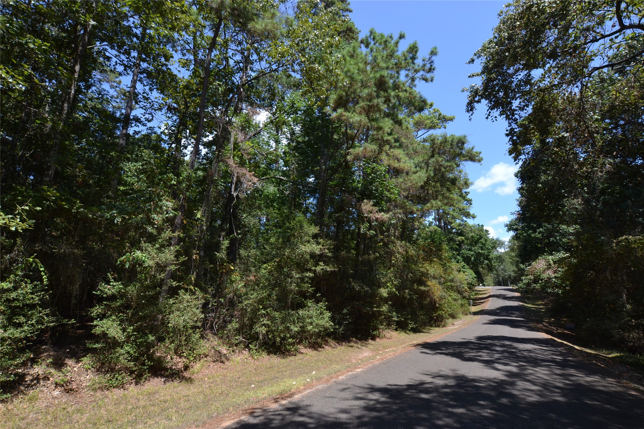 Tbd Rals Drive Property Photo 2