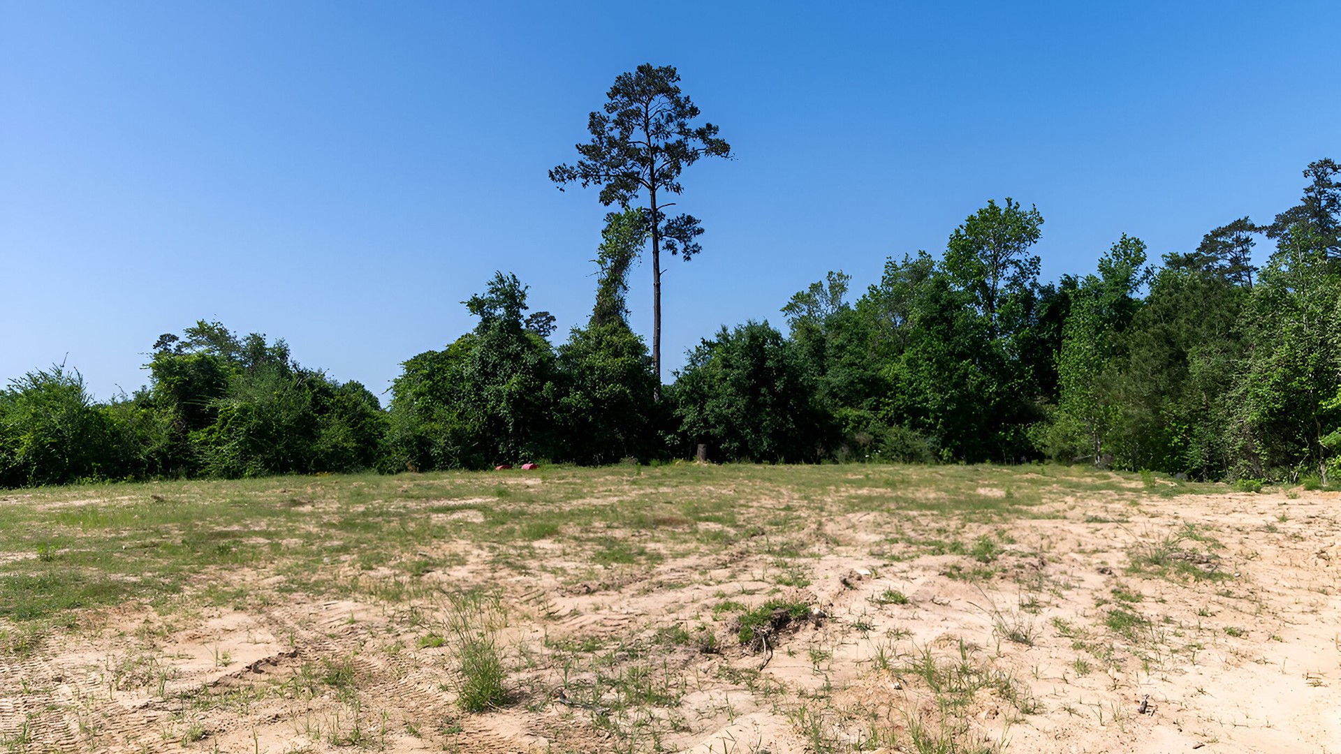 26205 Fm 2978 Road Property Photo 4