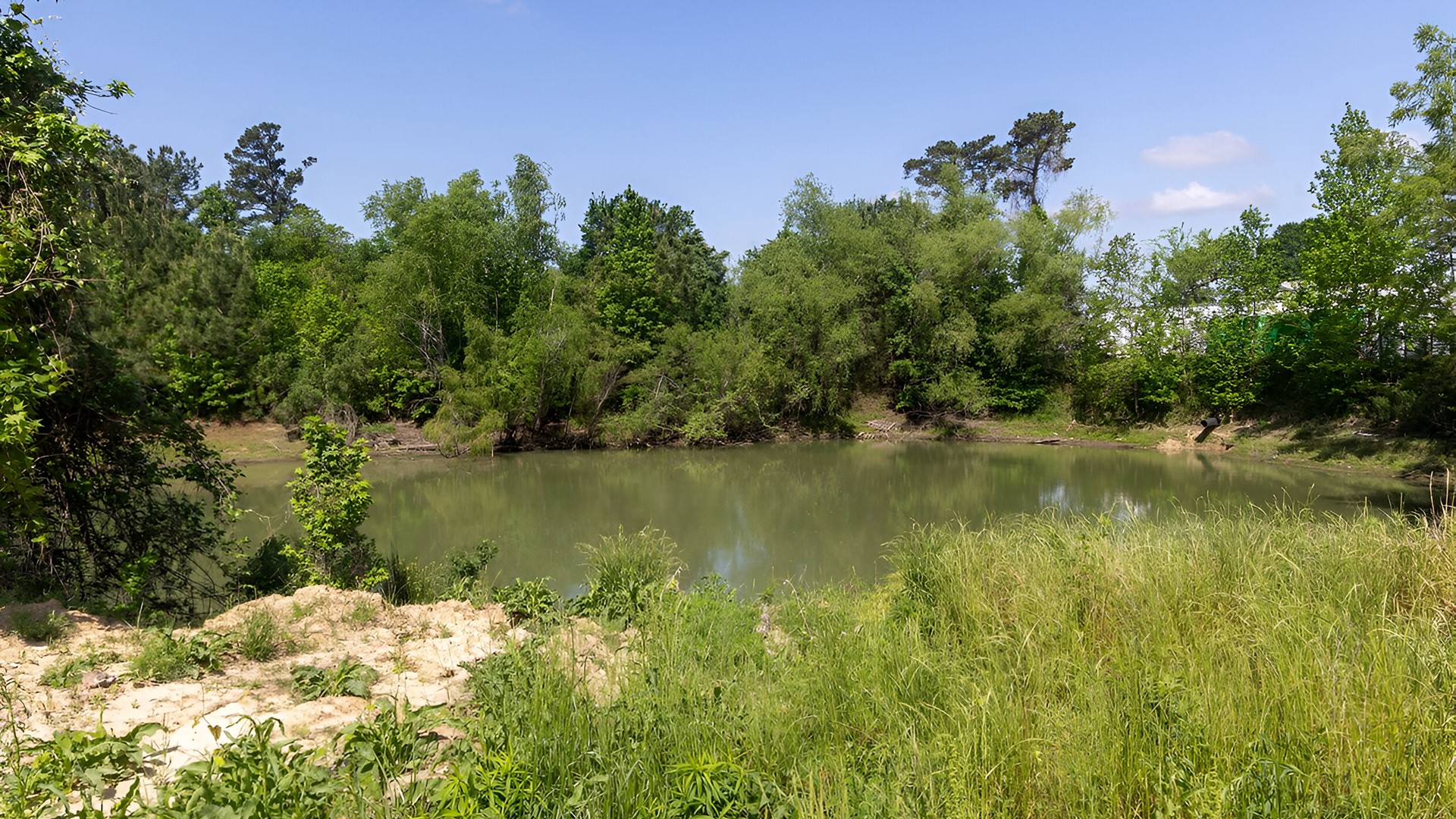 26205 Fm 2978 Road Property Photo 5