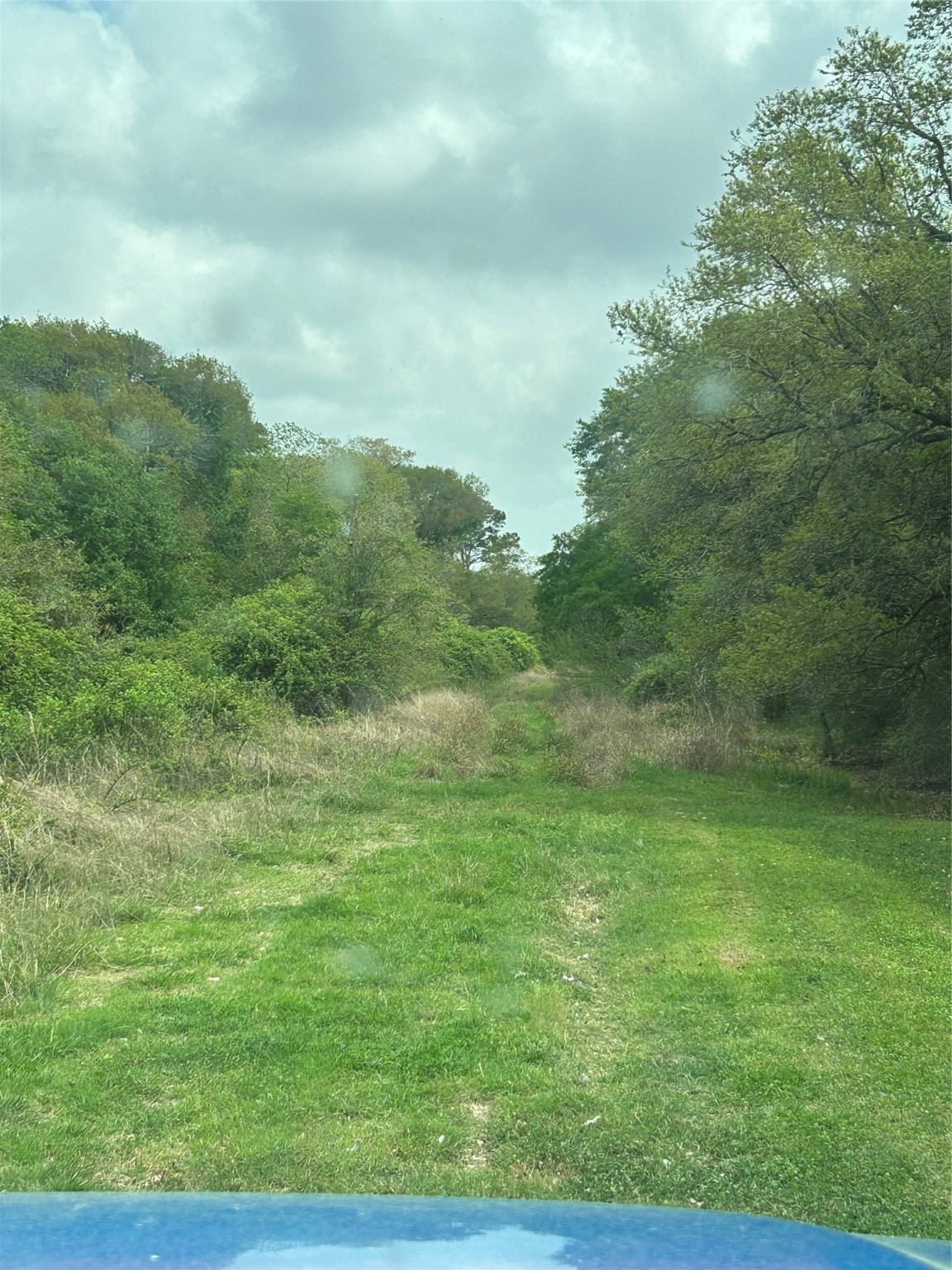 0 Holly Lane Property Photo 3