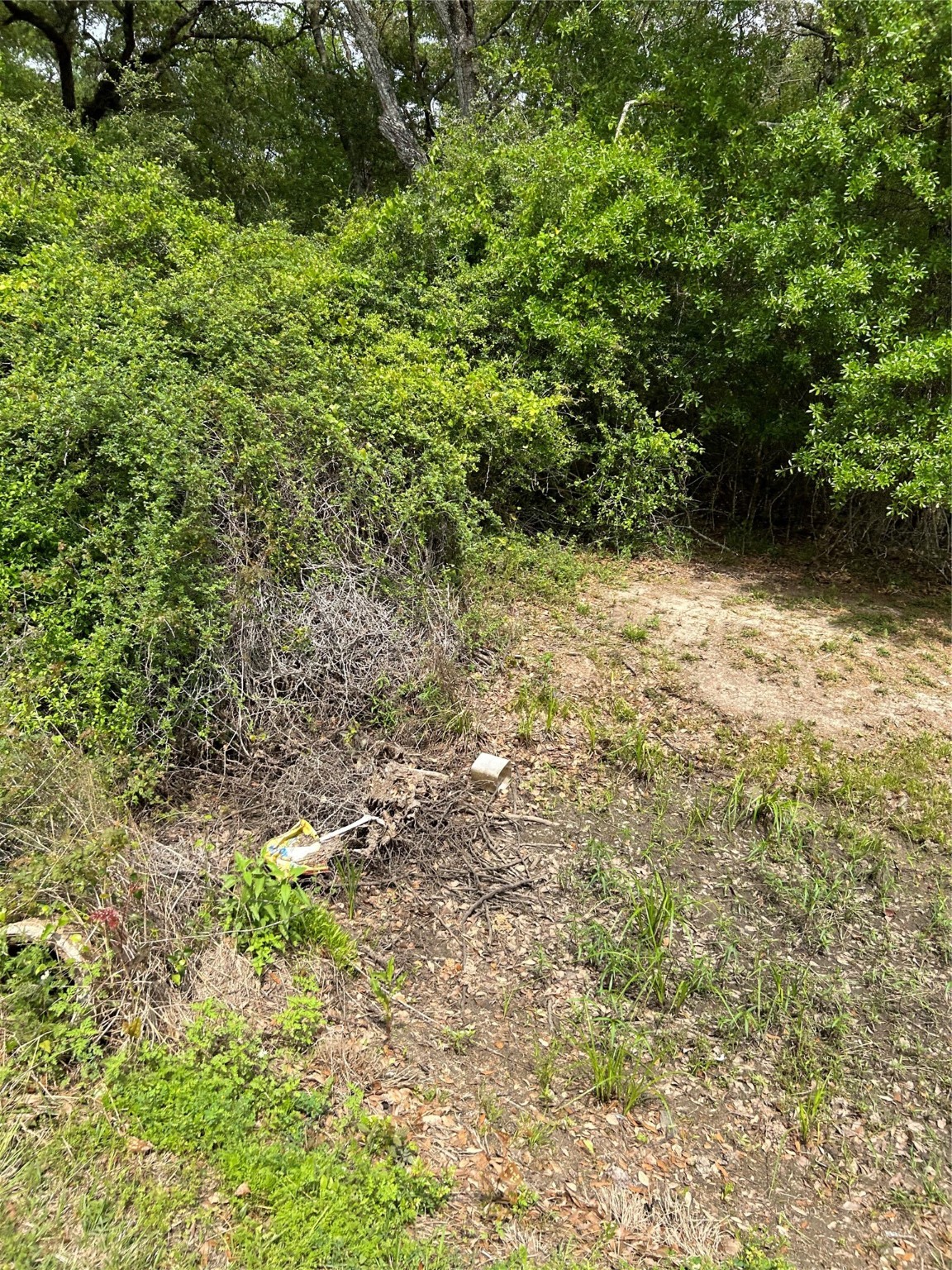 0 Holly Lane Property Photo 4