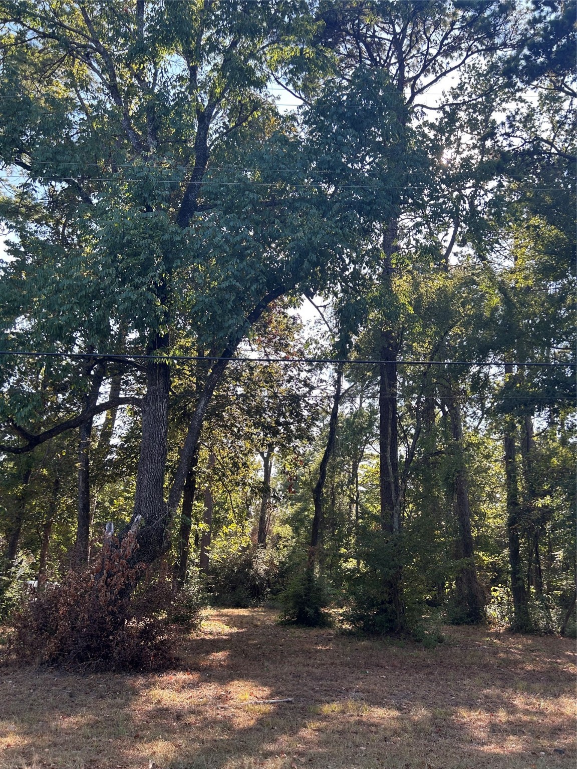 151617 Chain Rd Road Property Photo 1