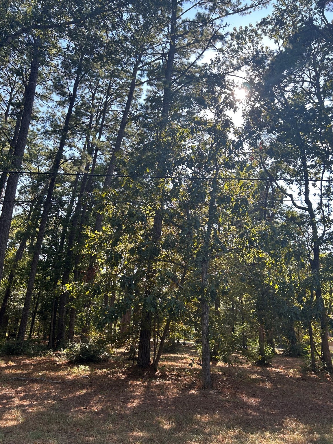 151617 Chain Rd Road Property Photo 2