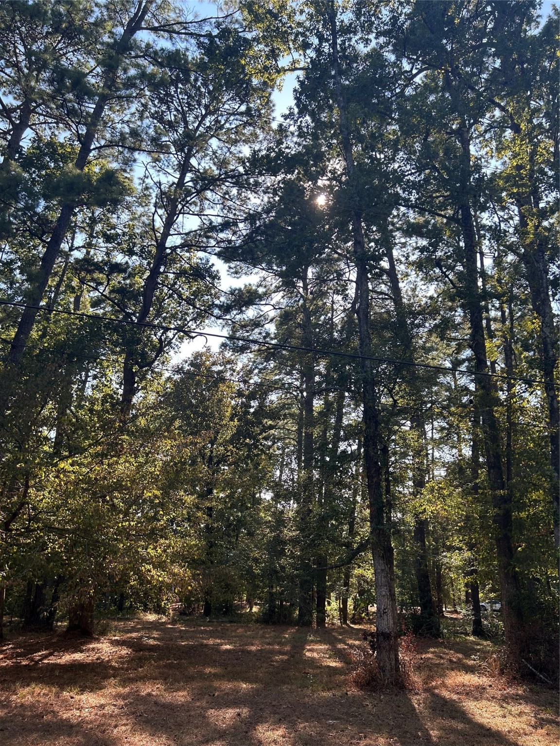 151617 Chain Rd Road Property Photo 3