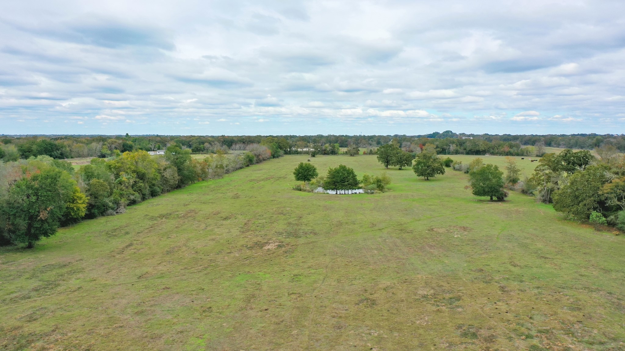 25 Ac Grant Road Property Photo