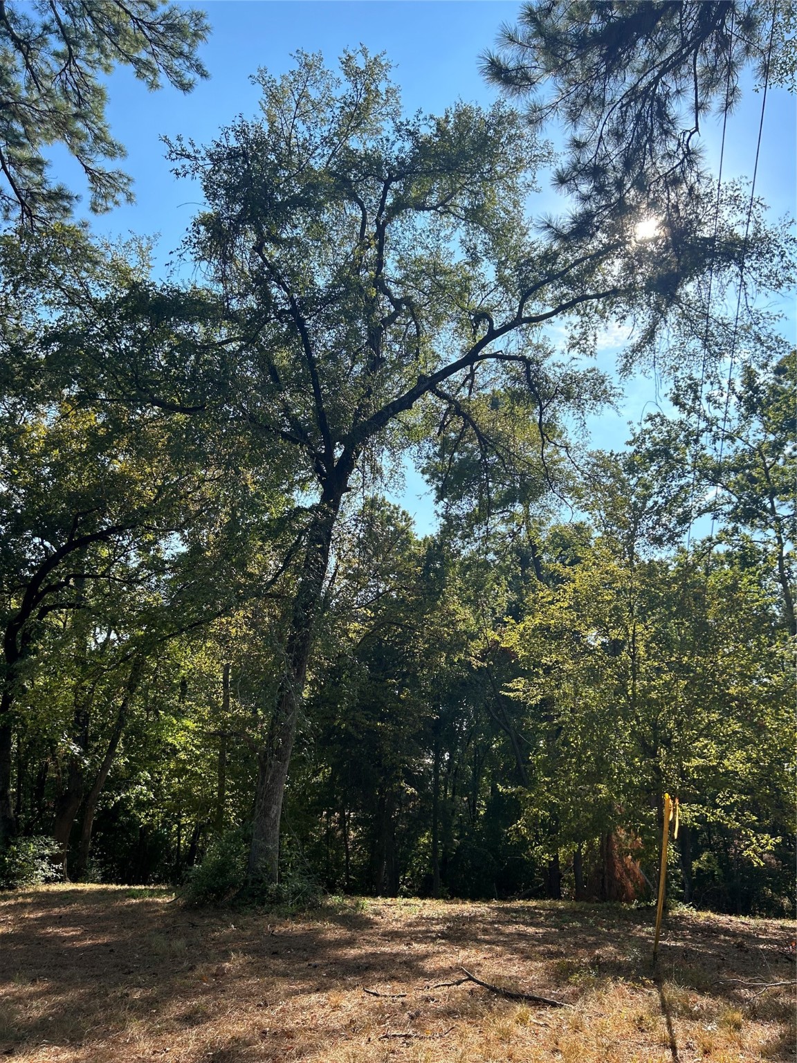 Tbd Tiki Trail Property Photo 3