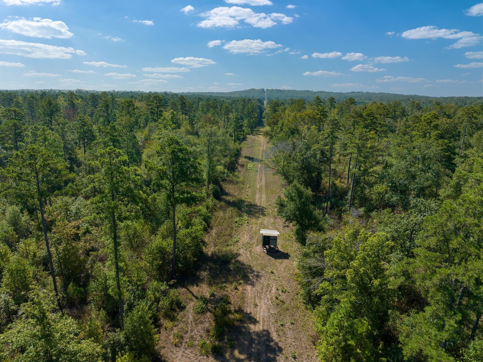 Tbd County Rd 3163 Property Photo