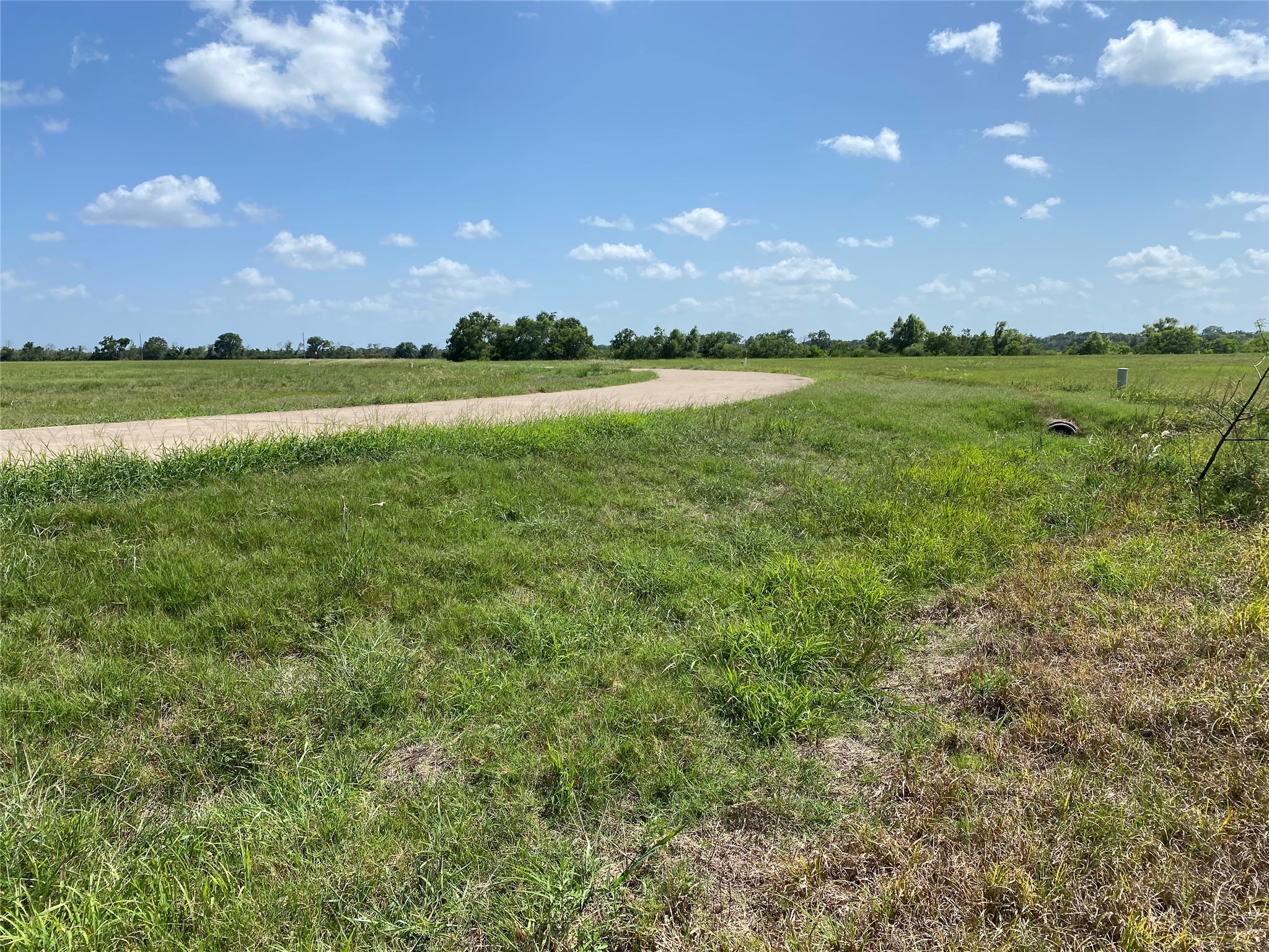 504 Brahman Trail Property Photo 6