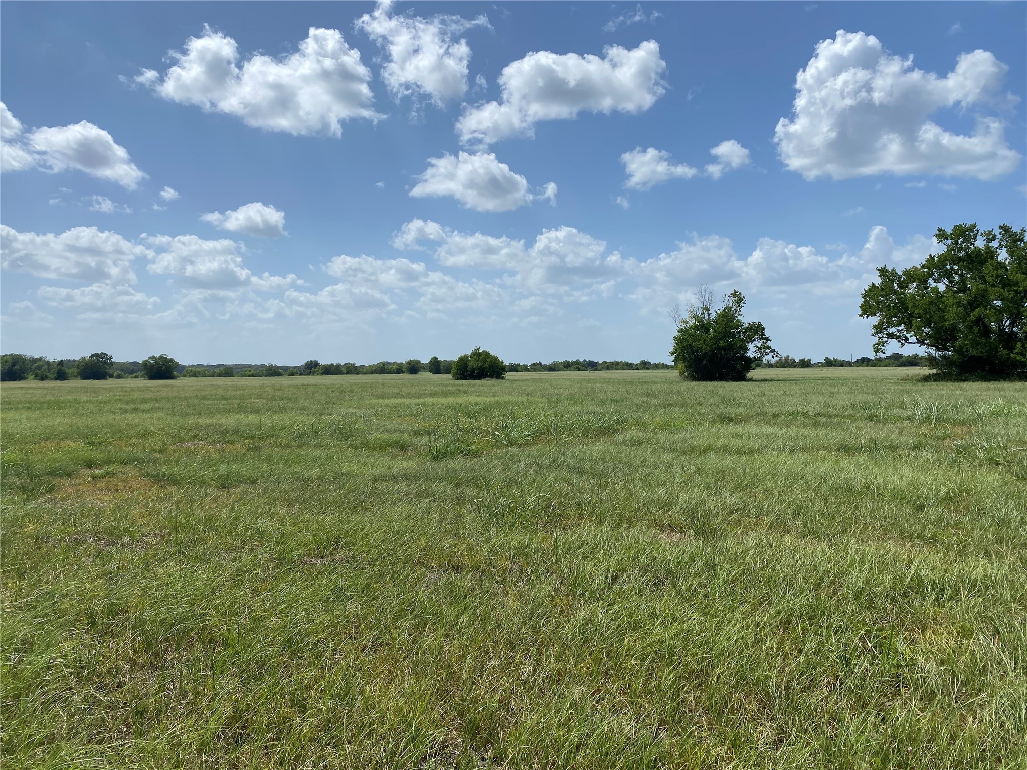 504 Brahman Trail Property Photo 7