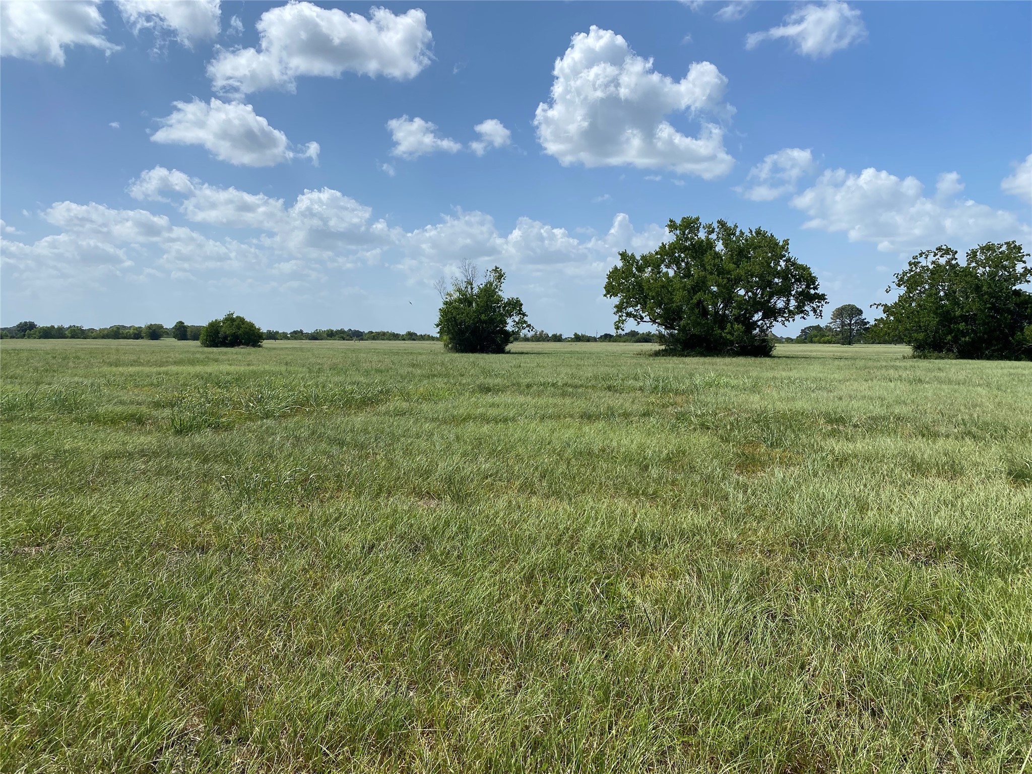 504 Brahman Trail Property Photo 8