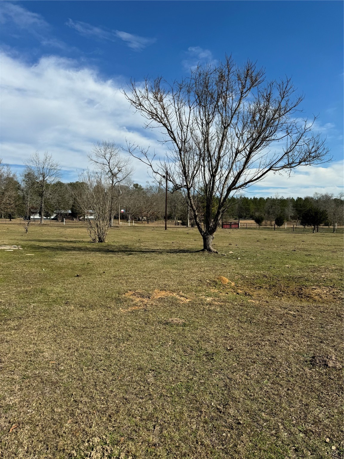3660 Fm 1013 Road Property Photo 25