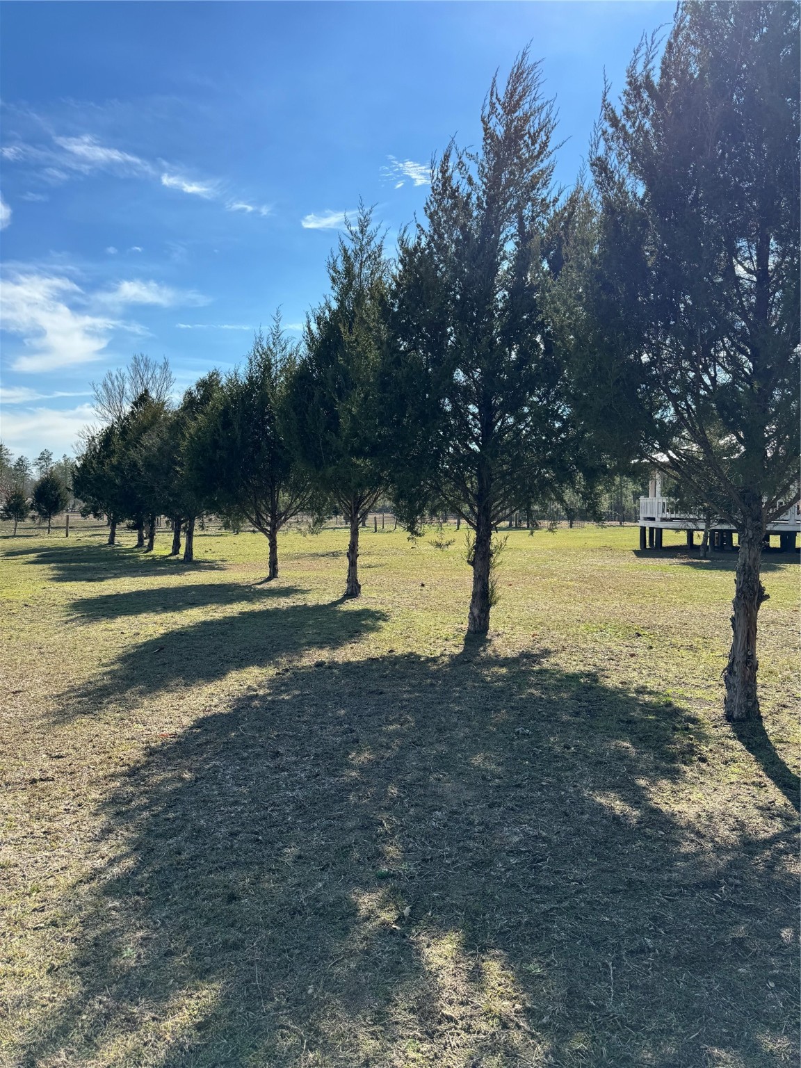 3660 Fm 1013 Road Property Photo 26